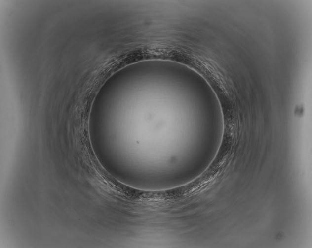 X0000097830817200803141143
