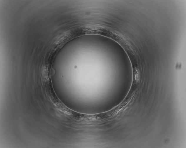 X0000097830819200803141143