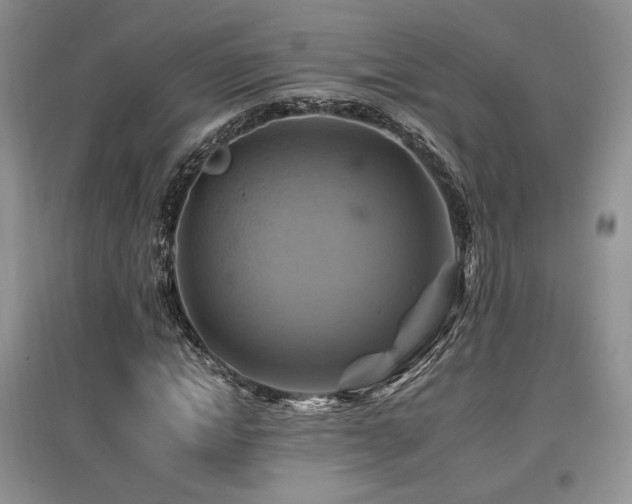 X0000097830822200803141143