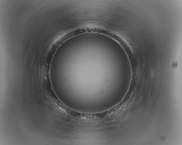 X0000097830823200803141143