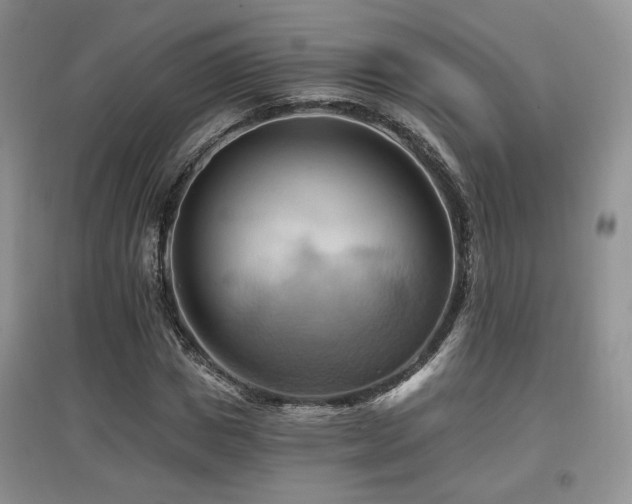 X0000097830825200803141143