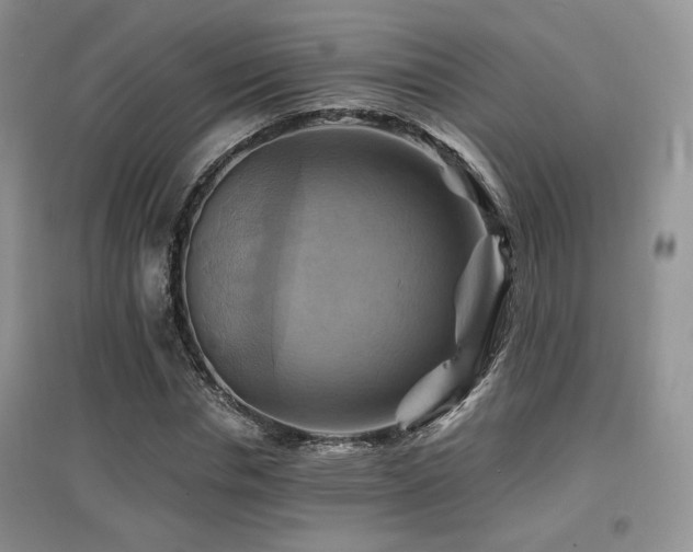 X0000097830826200803141143