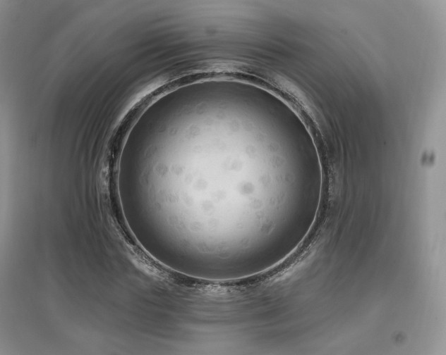 X0000097830827200803141143