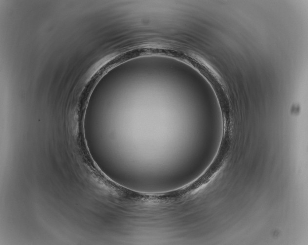 X0000097830829200803141143