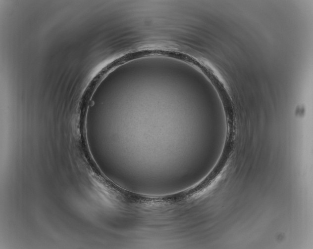 X0000097830830200803141143