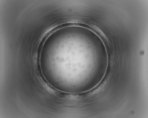 X0000097830831200803141143