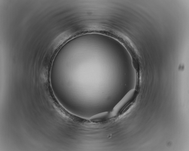 X0000097830833200803141143