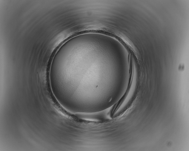 X0000097830834200803141143