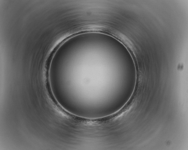X0000097830835200803141143