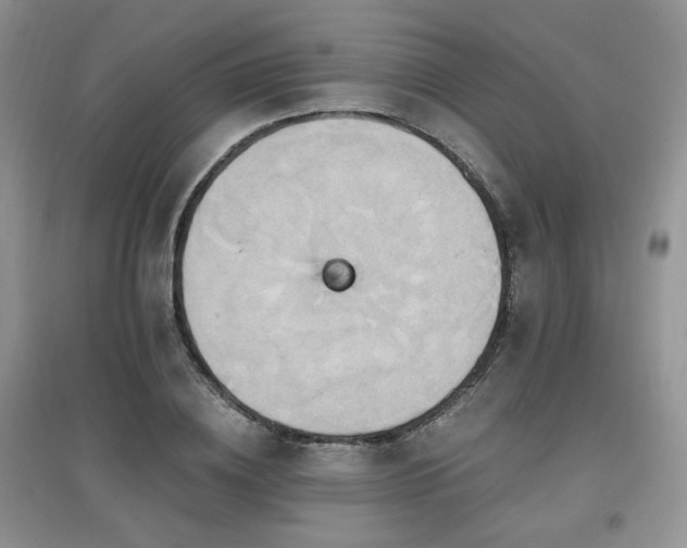 X0000097830836200803141143