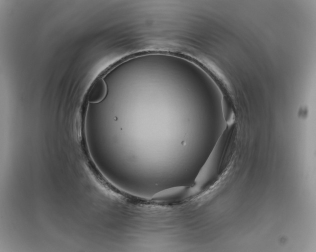 X0000097830838200803141143