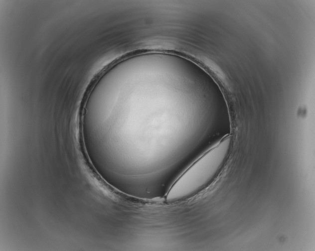 X0000097830840200803141143