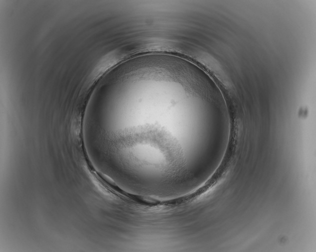X0000097830841200803141143