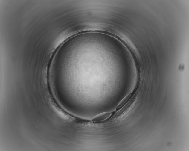 X0000097830842200803141143