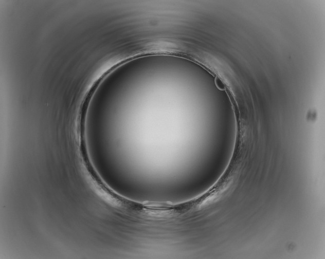 X0000097830843200803141143