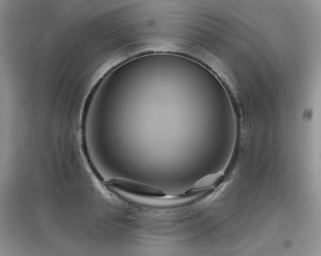X0000097830845200803141143