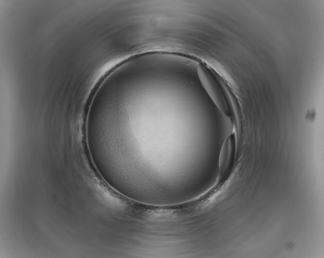 X0000097830846200803141143