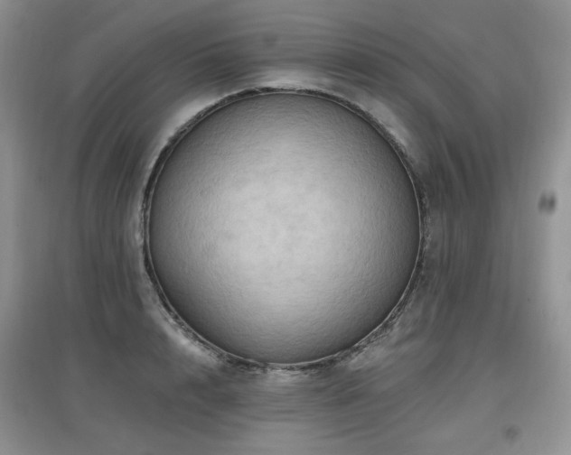 X0000097830848200803141143