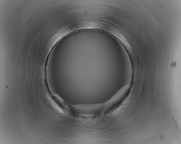 X0000097830850200803141144