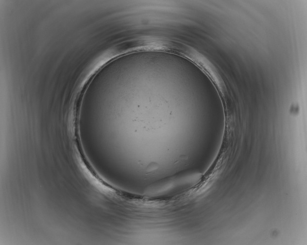 X0000097830851200803141144