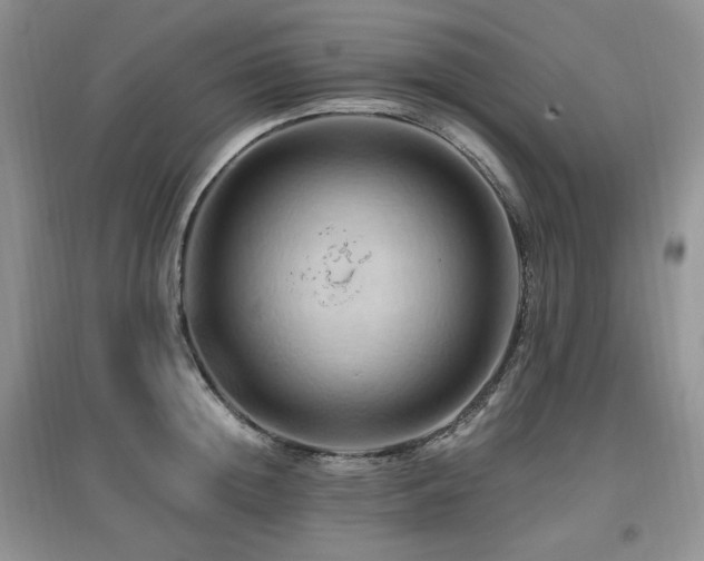 X0000097830852200803141144