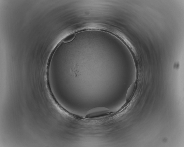 X0000097830853200803141144