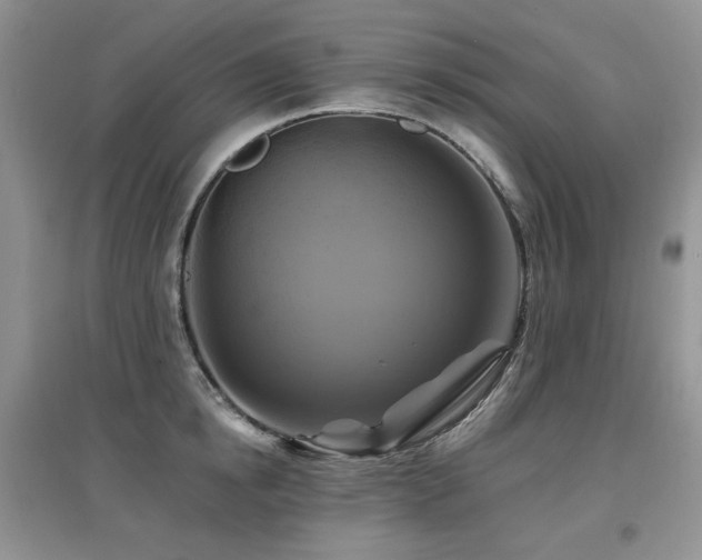 X0000097830854200803141144