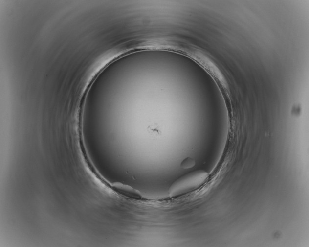 X0000097830855200803141144