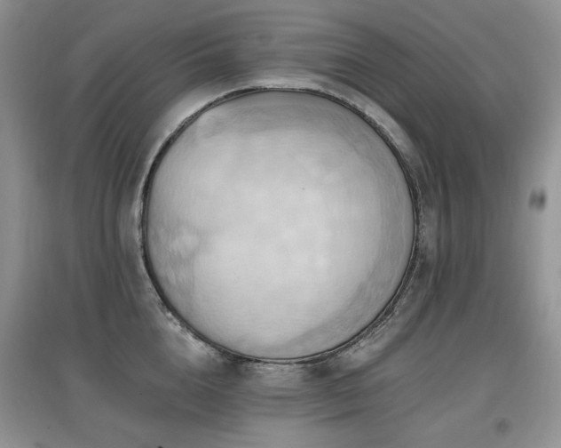 X0000097830856200803141144