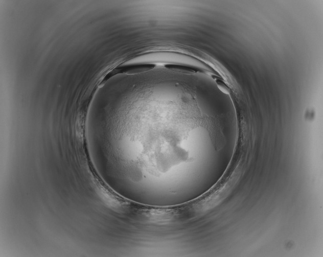 X0000097830857200803141144