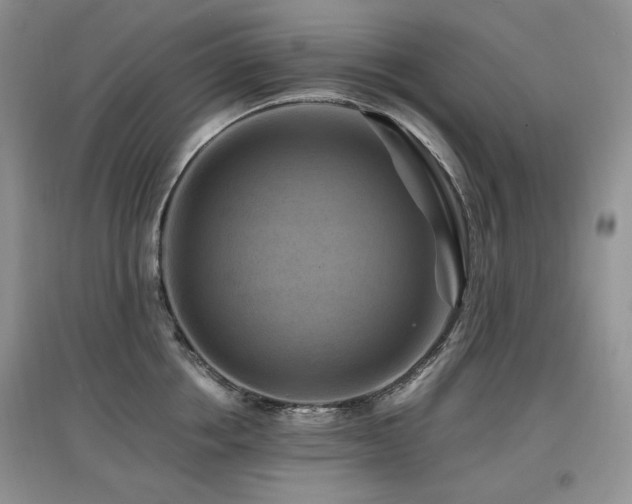 X0000097830858200803141144