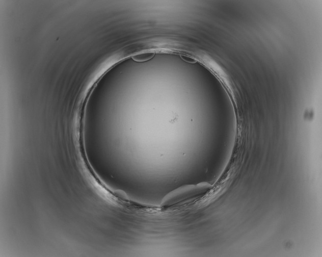 X0000097830859200803141144