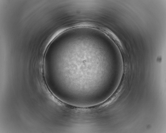 X0000097830860200803141144