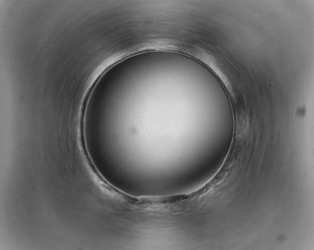 X0000097830861200803141144