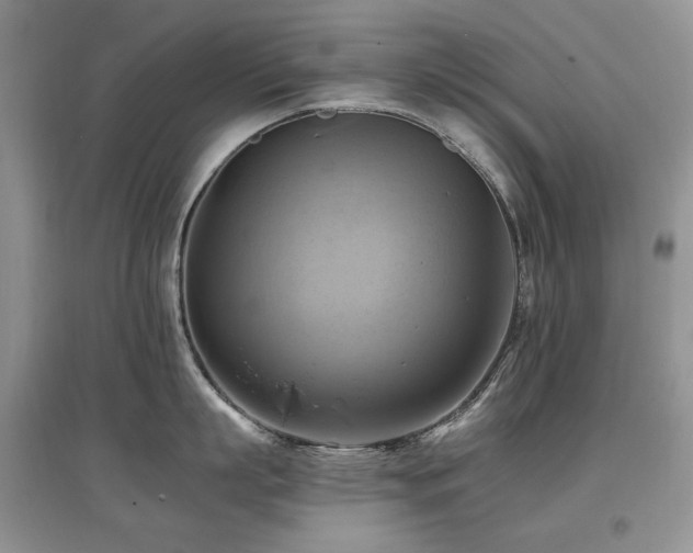 X0000097830863200803141144