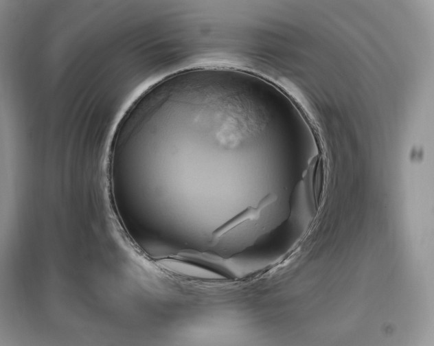 X0000097830864200803141144