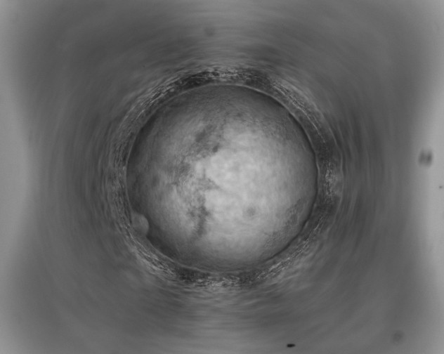 X0000097830865200803141143