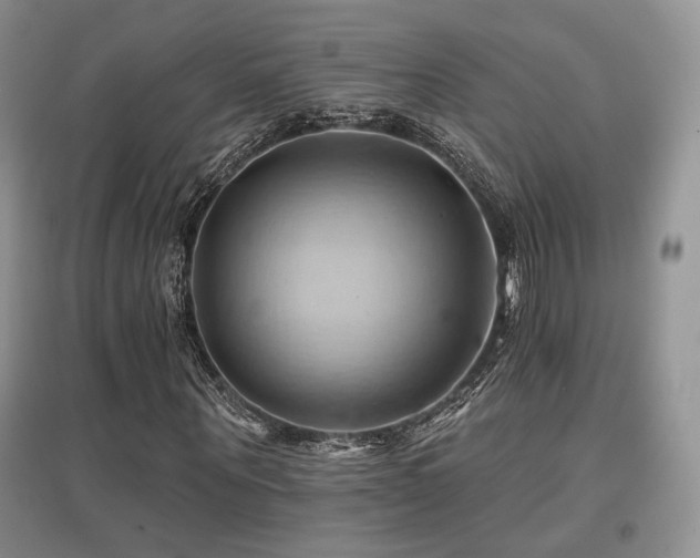 X0000097830867200803141143