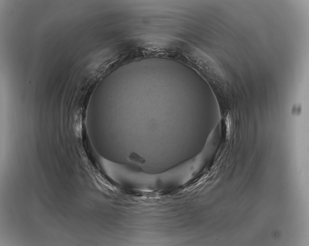 X0000097830868200803141143