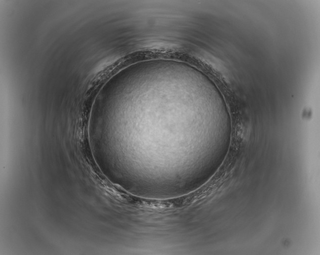 X0000097830869200803141143