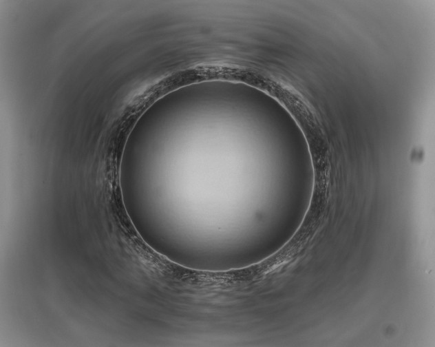 X0000097830870200803141143