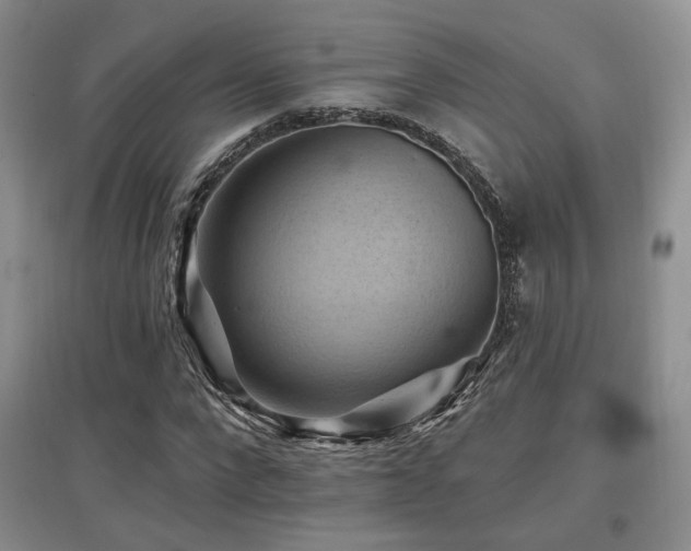 X0000097830872200803141143