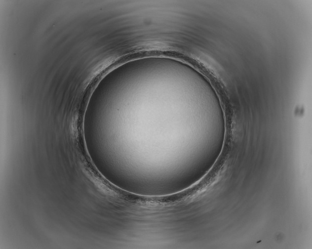 X0000097830873200803141143