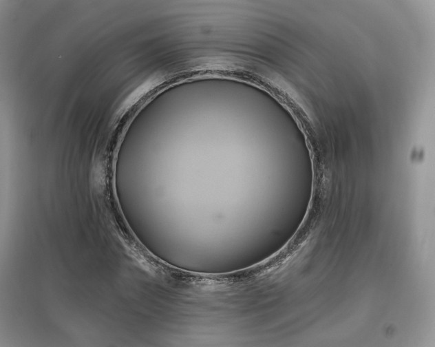 X0000097830874200803141143