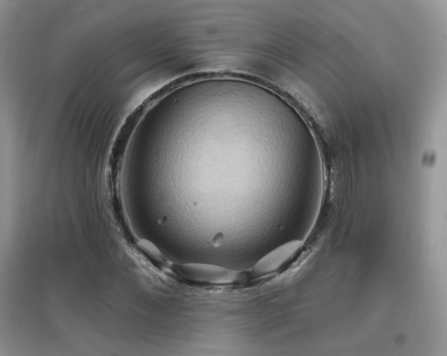 X0000097830876200803141143