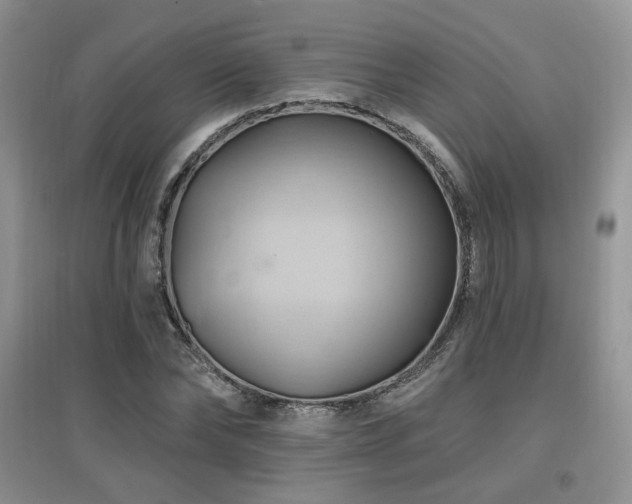 X0000097830878200803141143