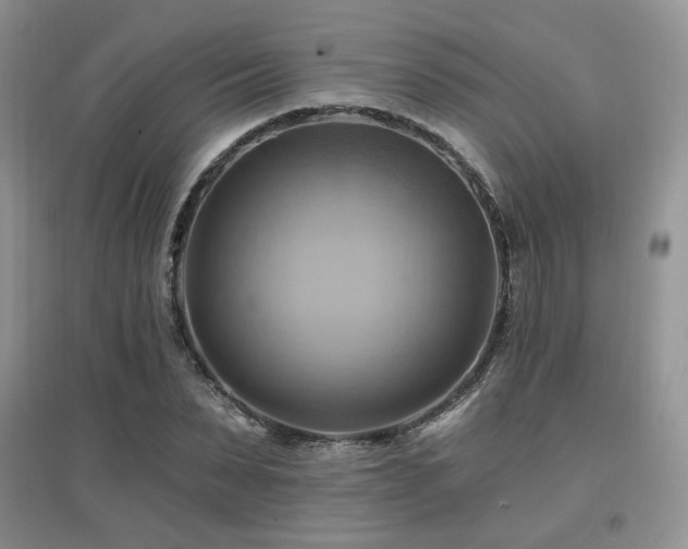 X0000097830879200803141143