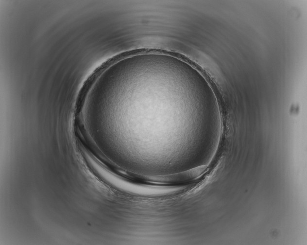 X0000097830880200803141143