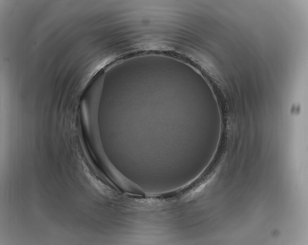 X0000097830881200803141143