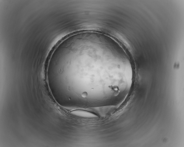 X0000097830883200803141143